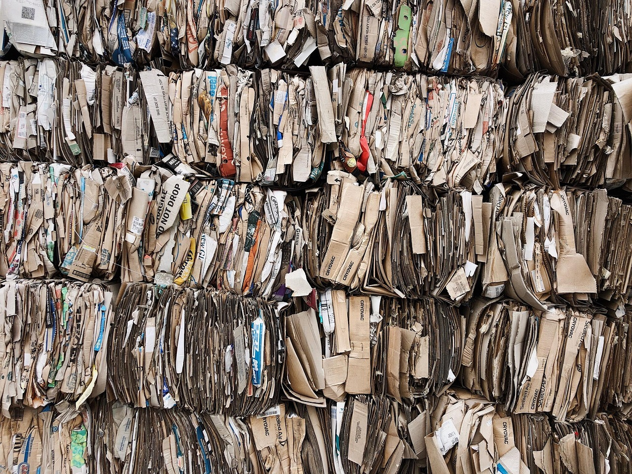 Paper & Packaging sector photo