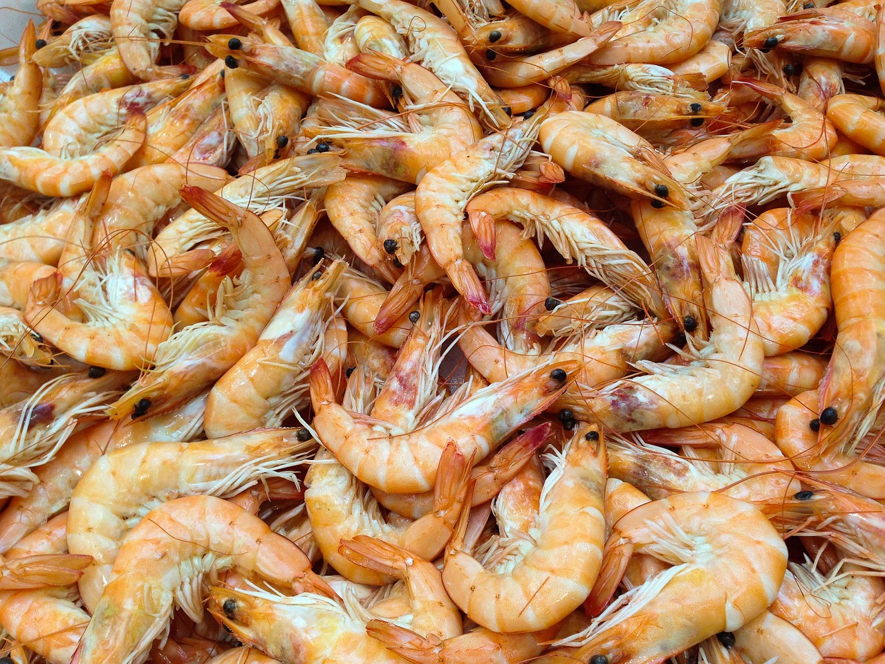 Seafood Processing