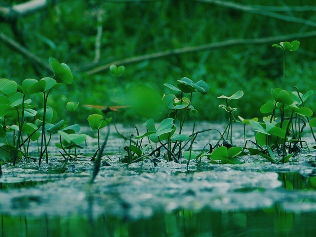 FlowPlan